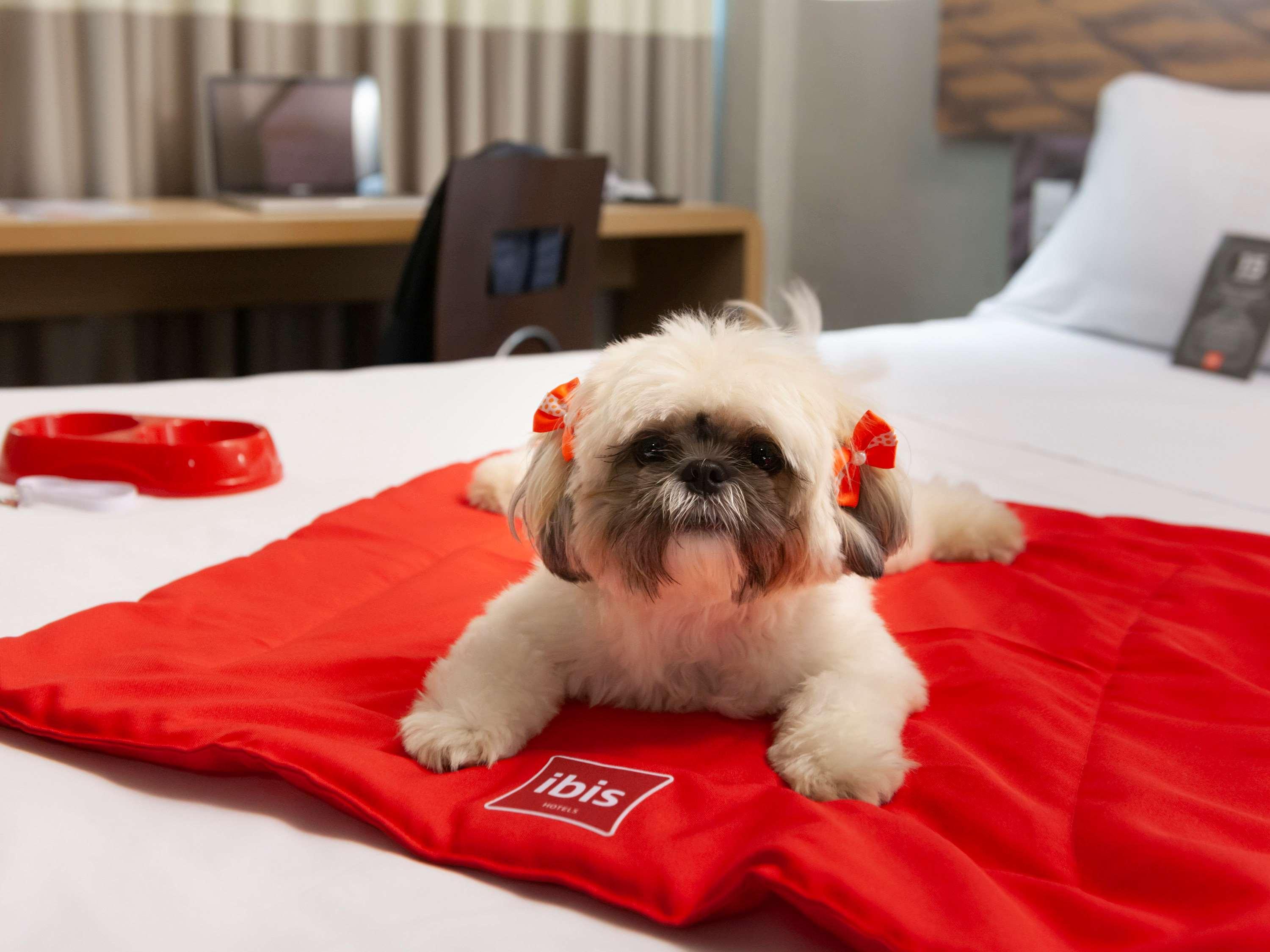 Ibis Teresina 호텔 외부 사진