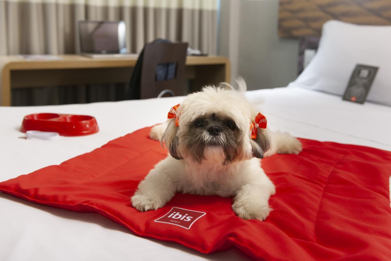 Ibis Teresina 호텔 외부 사진